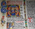 VBS_4035 - Mostra Il Rinascimento in Piemonte - Castello della Rovere - Vinovo 